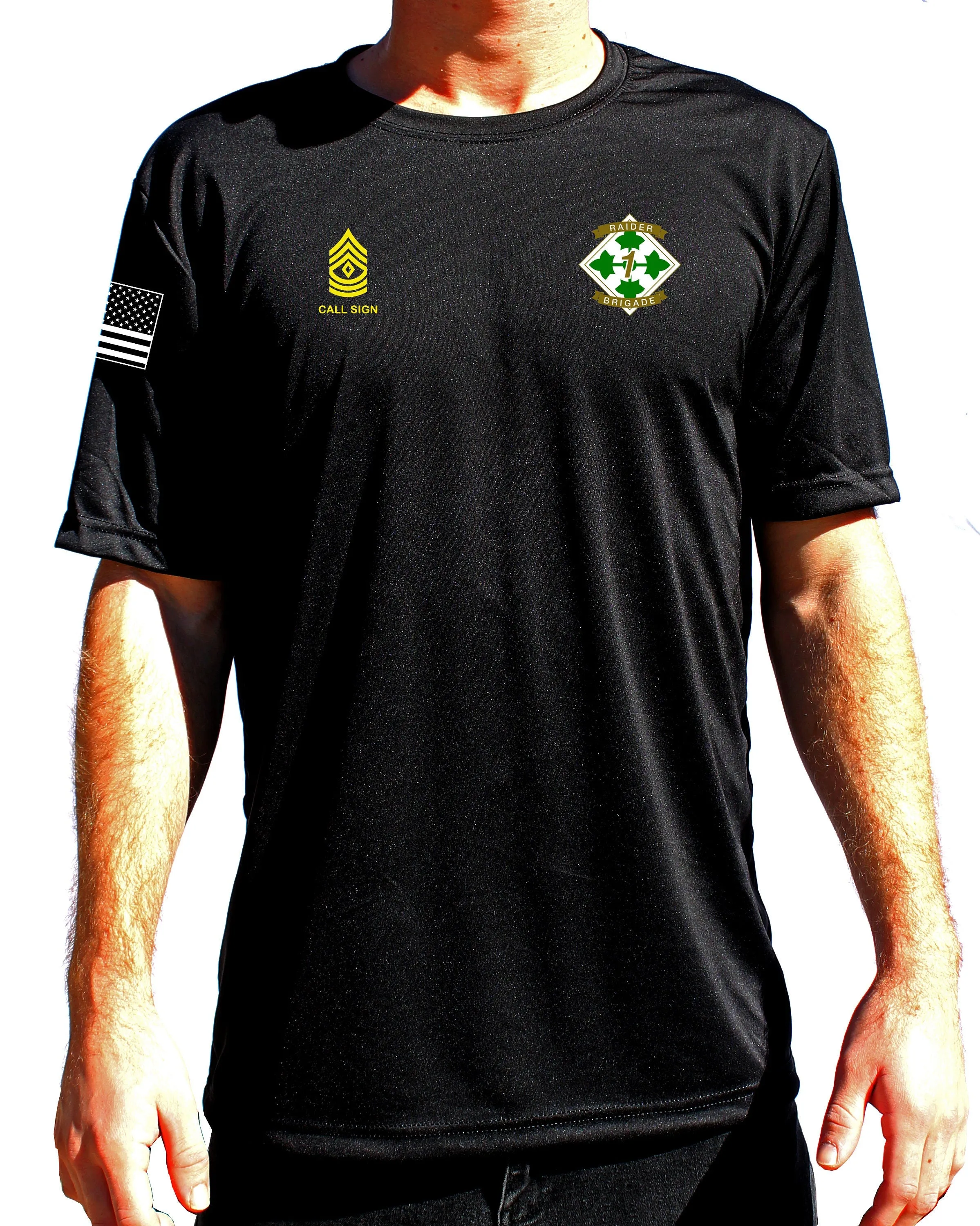Assassin Co. PT Performance Unisex T-Shirt. This shirt is approved for PT. **Free Shipping means for Liaison pick up to base only**